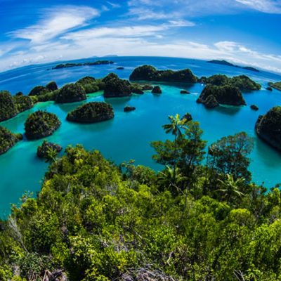 Pulau Salawati